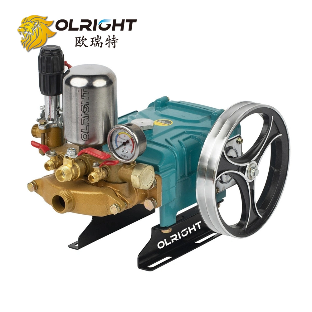 30bar Gasoline Directly Connected Plunger Pump for High Pressure Power Sprayer