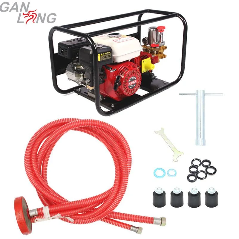 Agricultural 4 Stroke Gasoline Petrol Motor Engine Power Spray Sprayer Pump Pumps